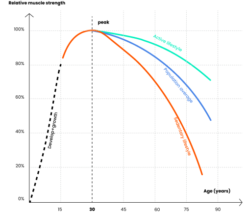 Relative_muscle_strength-Graph