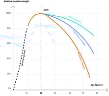 Relative_muscle_strength-Graph